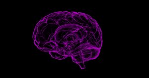 Grafika przedstawiająca mózg narysowany cienką fioletową kreską na czarnym jednolitym tle