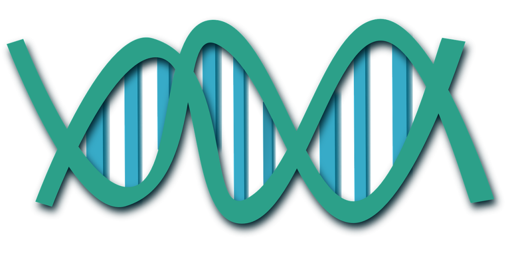 Grafika przedstawiająca luźne wyobrażenie łańcucha DNA - zielony łańcuch, niebieskie chromosomy, białe tło