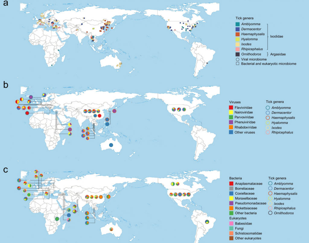 Mapka występowania kleszczy w różnych regionach świata i towarzyszących im patogenów.