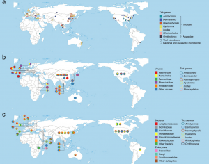 Mapka występowania kleszczy w różnych regionach świata i towarzyszących im patogenów.