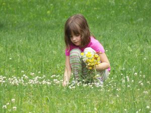 Dziewczynka zbierająca kwiatki na łące
