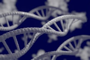Łańcuchy DNA